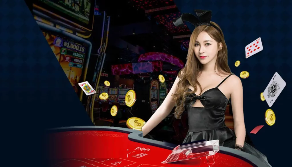 真人百家樂新手教學，玩法規則一次搞懂！｜LEO娛樂城